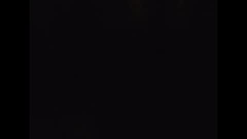 Snapshot of foxmsn chatting on 24, 11, 2025 foxmsn online show from 24, 11, 2025