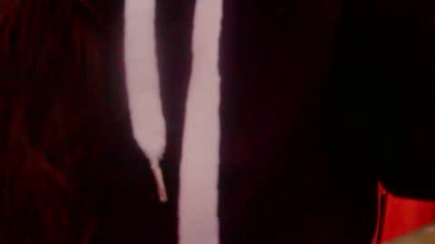 Snapshot of foxxxx_33 chatting on 16, 12, 2025 foxxxx_33 online show from 16, 12, 2025