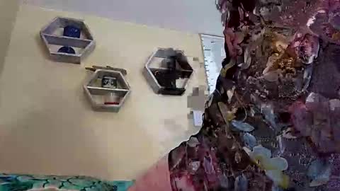 Snapshot of foxyanjel chatting on 27, 10, 2025 foxyanjel online show from 27, 10, 2025