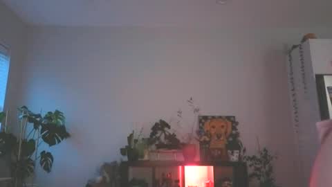 Snapshot of foxyredddd chatting on 16, 12, 2025 beautiful blair online show from 16, 12, 2025