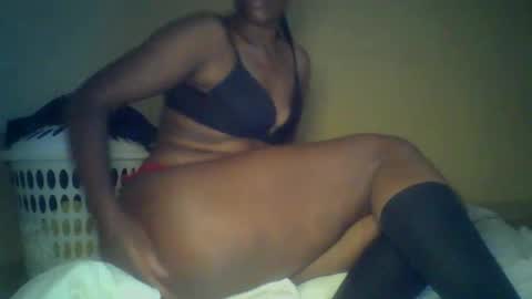 Sha online show from 2, 2, 2026