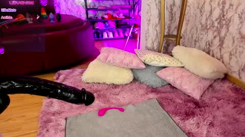    -  IG AnicolorsLive X AnicolorsLive        - online show from 26, 1, 2025