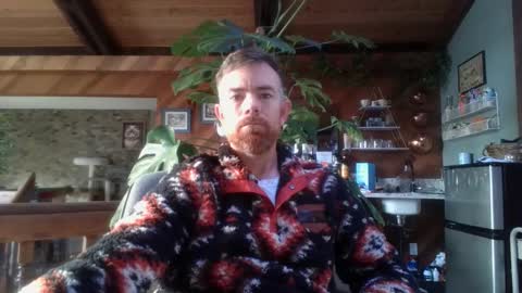 Freddy online show from 8, 11, 2025