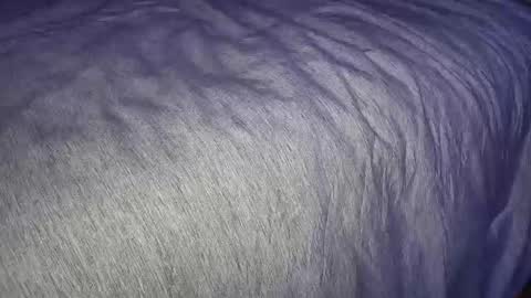 FreyaTheGemini online show from 7, 1, 2025