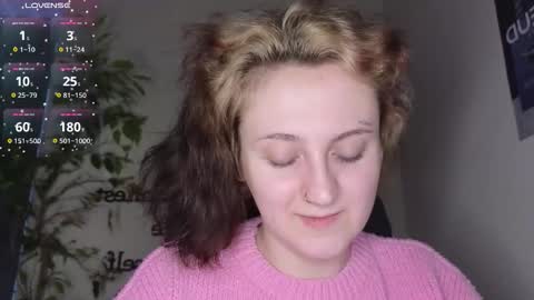 ANA online show from 2, 2, 2026