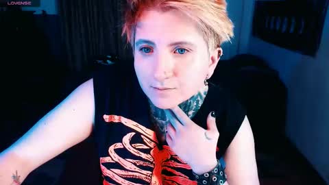          HEHIM  online show from 16, 11, 2025