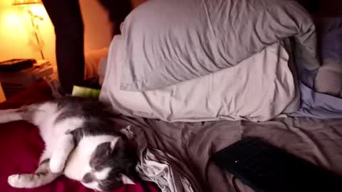 fuckmypussyplz1 online show from 3, 2, 2025