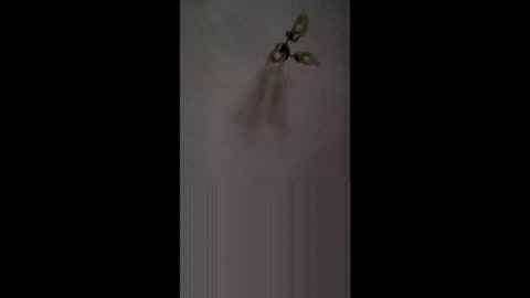 fucktoy972955 online show from 26, 2, 2026