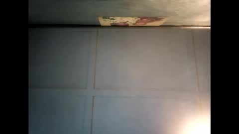 Warwick online show from 7, 12, 2024