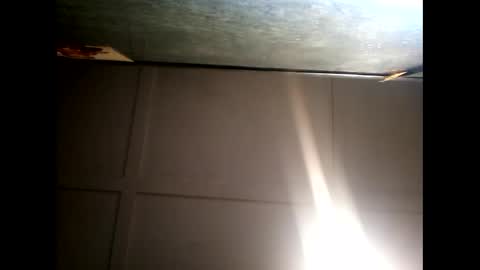 Warwick online show from 10, 12, 2024