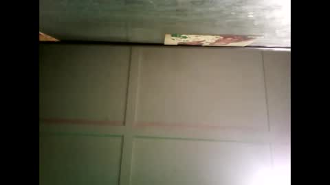 Warwick online show from 16, 12, 2024