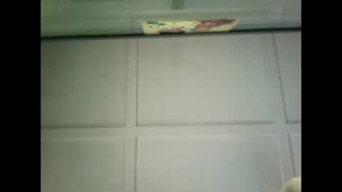 Warwick online show from 22, 12, 2024