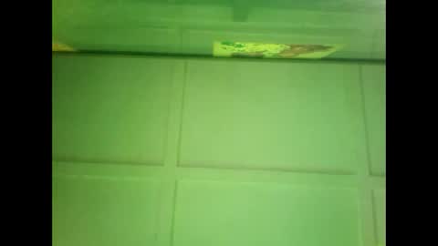 Warwick online show from 27, 12, 2024