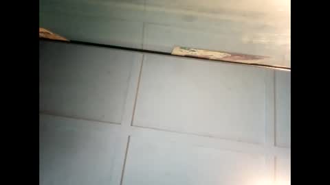 Warwick online show from 6, 1, 2025