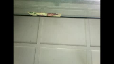 Warwick online show from 14, 1, 2025