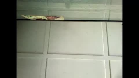 Warwick online show from 29, 1, 2025