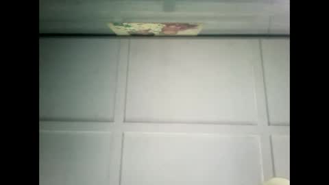 Warwick online show from 2, 2, 2025