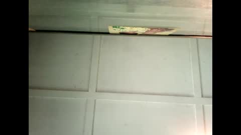 Warwick online show from 4, 2, 2025