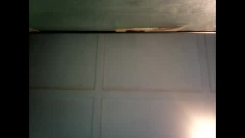 Warwick online show from 16, 2, 2025