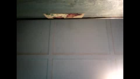 Warwick online show from 24, 2, 2025