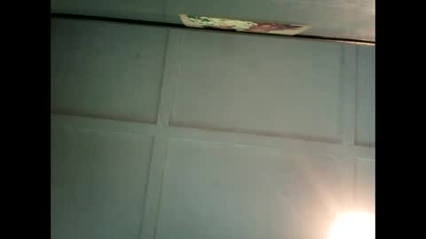 Warwick online show from 25, 2, 2025