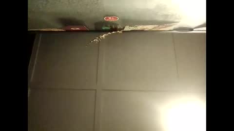 Warwick online show from 8, 10, 2025