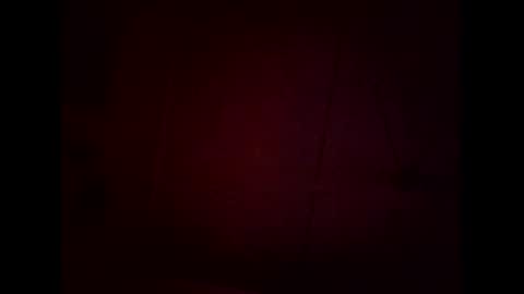 Warwick online show from 8, 2, 2026