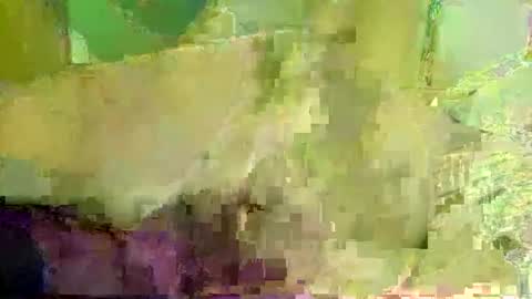 funandwilde online show from 8, 10, 2025