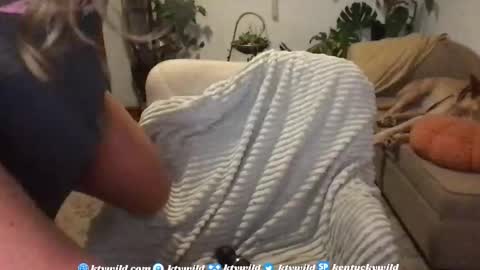   Thank you for visiting I hope you had fun 3 online show from 19, 11, 2025