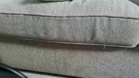 marklaura online show from 12, 9, 2025