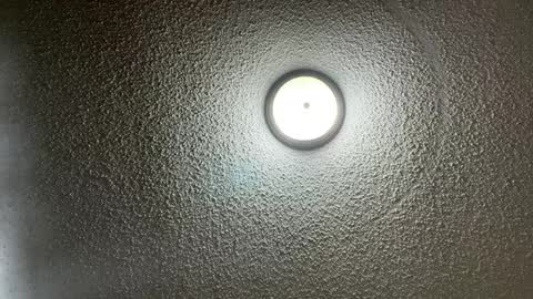 furburgermuncher89 online show from 22, 2, 2025