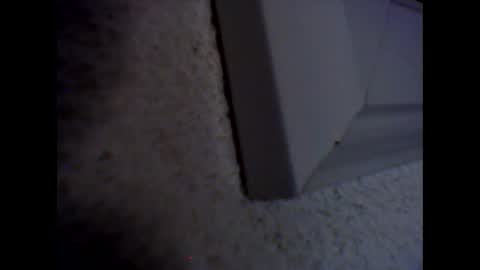 furcoatslave online show from 3, 12, 2024