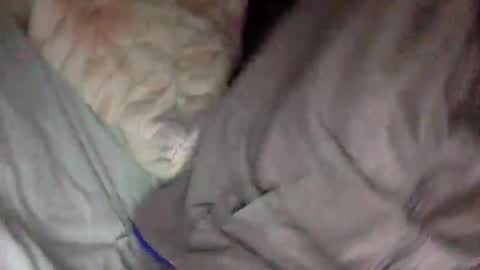 Snapshot of futurefux chatting on 16, 2, 2026 futurefux online show from 16, 2, 2026