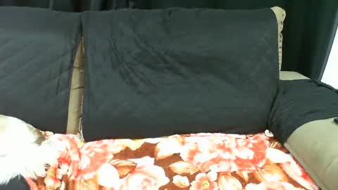 Snapshot of gabibrasil chatting on 14, 1, 2025 gaby  layla online show from 14, 1, 2025