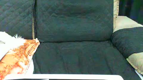Snapshot of gabibrasil chatting on 10, 2, 2025 gaby  layla online show from 10, 2, 2025