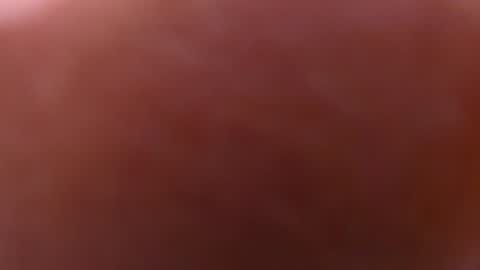 gabriela online show from 12, 12, 2024