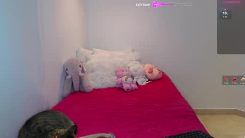 .  online show from 26, 2, 2026