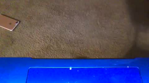 gangdrewski online show from 6, 3, 2026