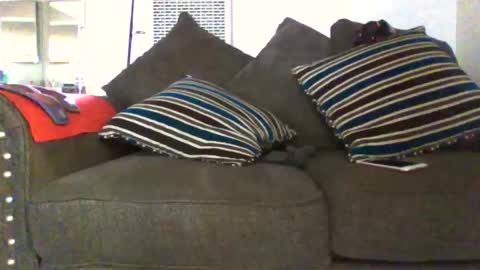 gangdrewski online show from 7, 3, 2026