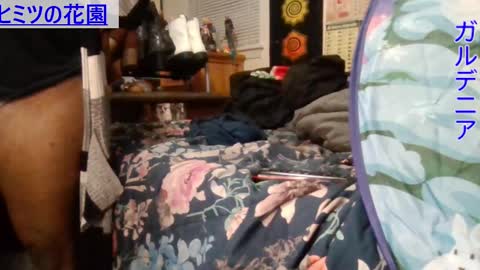 Snapshot of gardeniaspear chatting on 6, 12, 2024 Gardenia online show from 6, 12, 2024