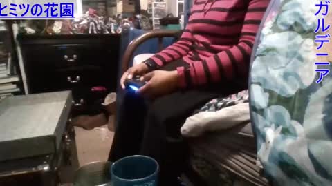 Snapshot of gardeniaspear chatting on 29, 12, 2024 Gardenia online show from 29, 12, 2024