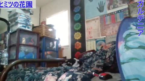 Snapshot of gardeniaspear chatting on 26, 2, 2025 Gardenia online show from 26, 2, 2025