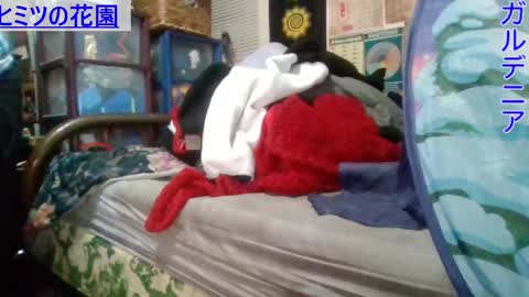 Snapshot of gardeniaspear chatting on 1, 3, 2025 Gardenia online show from 1, 3, 2025