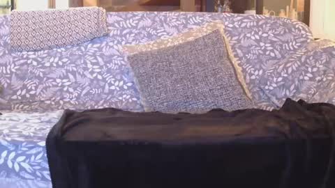 Snapshot of garybaker60 chatting on 1, 1, 2025 Gaz online show from 1, 1, 2025