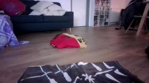 gaypuppychaste online show from 23, 12, 2025