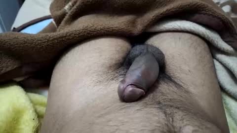 gbbdjr123 online show from 12, 1, 2026