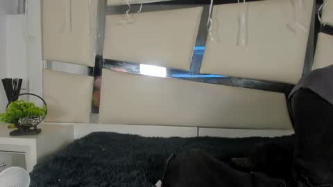 Snapshot of genesis_ask chatting on 17, 11, 2025 Genesis online show from 17, 11, 2025