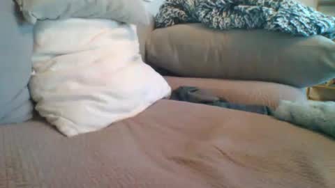 Snapshot of getsome11 chatting on 8, 3, 2026 Getsome11 online show from 8, 3, 2026