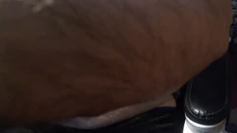 Gianni9000000 online show from 5, 2, 2026