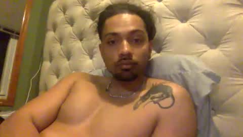 gilbone_gattsby online show from 8, 4, 2026